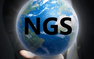 Desde el GIS al NGS=Network gObjects System